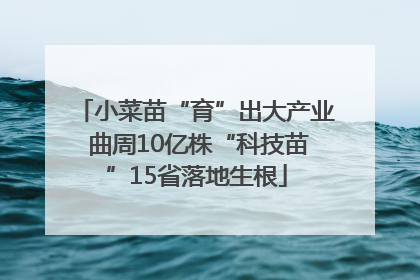 小菜苗“育”出大产业 曲周10亿株“科技苗”15省落地生根