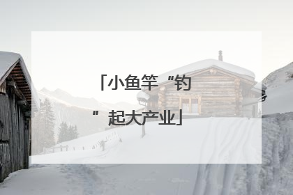 小鱼竿“钓”起大产业