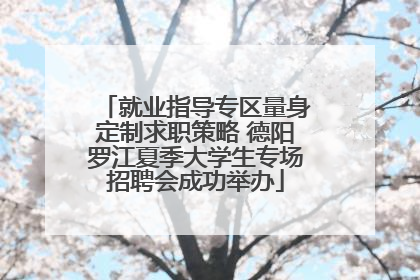 就业指导专区量身定制求职策略 德阳罗江夏季大学生专场招聘会成功举办