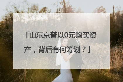 山东京普以0元购买资产，背后有何筹划？