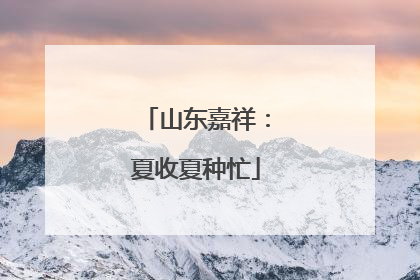 山东嘉祥：夏收夏种忙