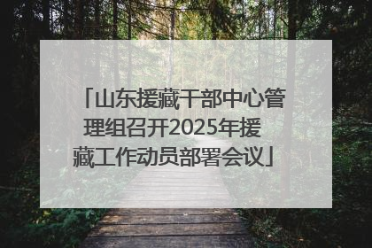 山东援藏干部中心管理组召开2025年援藏工作动员部署会议