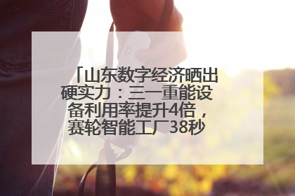 山东数字经济晒出硬实力：三一重能设备利用率提升4倍，赛轮智能工厂38秒生产一条轮胎