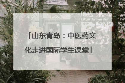山东青岛：中医药文化走进国际学生课堂