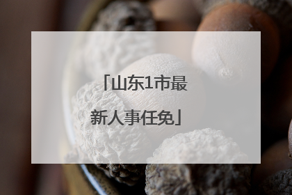 山东1市最新人事任免