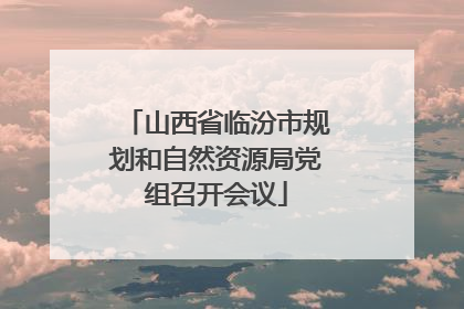 山西省临汾市规划和自然资源局党组召开会议
