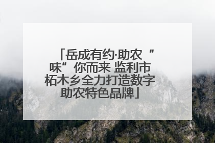 岳成有约·助农“味”你而来 监利市柘木乡全力打造数字助农特色品牌