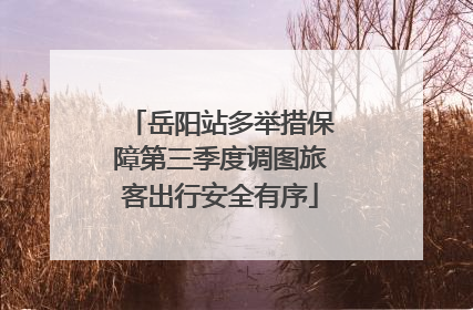 岳阳站多举措保障第三季度调图旅客出行安全有序
