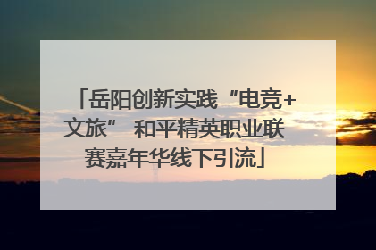 岳阳创新实践“电竞+文旅” 和平精英职业联赛嘉年华线下引流