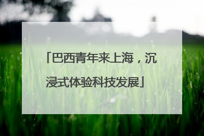 巴西青年来上海，沉浸式体验科技发展