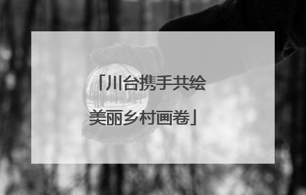 川台携手共绘美丽乡村画卷