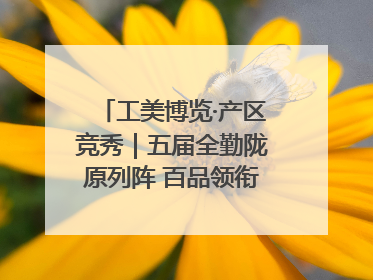 工美博览·产区竞秀｜五届全勤陇原列阵 百品领衔甘肃出彩