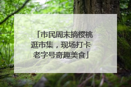 市民周末摘樱桃逛市集，现场打卡老字号奇趣美食