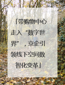 带购物中心走入“数字世界”，京企引领线下空间数智化变革