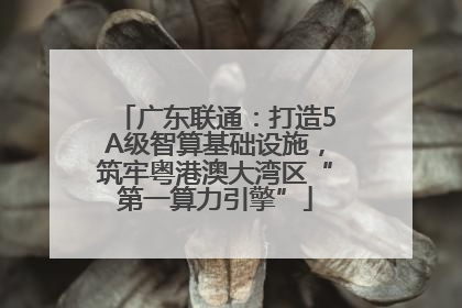 广东联通：打造5A级智算基础设施，筑牢粤港澳大湾区“第一算力引擎”