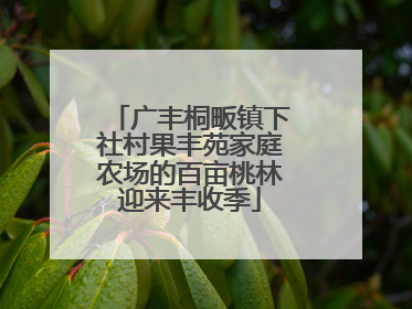 广丰桐畈镇下社村果丰苑家庭农场的百亩桃林迎来丰收季