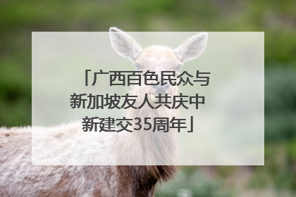 广西百色民众与新加坡友人共庆中新建交35周年