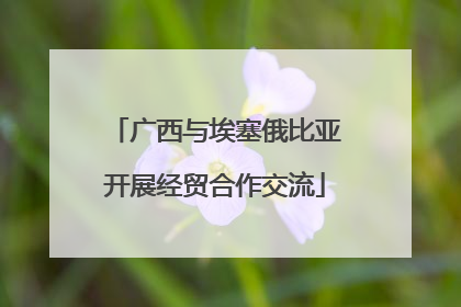 广西与埃塞俄比亚开展经贸合作交流