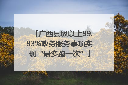 广西县级以上99.83%政务服务事项实现“最多跑一次”