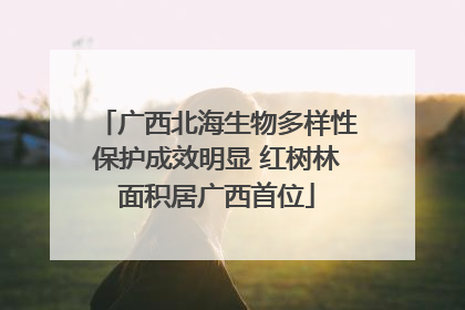 广西北海生物多样性保护成效明显 红树林面积居广西首位