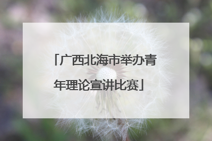 广西北海市举办青年理论宣讲比赛