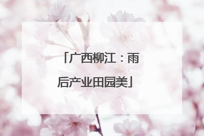 广西柳江：雨后产业田园美