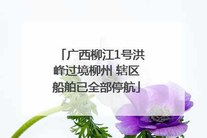 广西柳江1号洪峰过境柳州 辖区船舶已全部停航