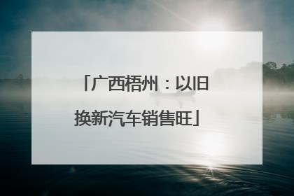 广西梧州：以旧换新汽车销售旺