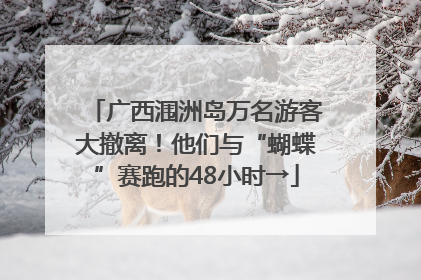 广西涠洲岛万名游客大撤离！他们与“蝴蝶”赛跑的48小时→