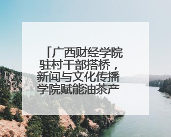 广西财经学院驻村干部搭桥，新闻与文化传播学院赋能油茶产业振兴