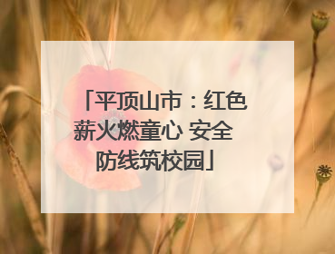 平顶山市：红色薪火燃童心 安全防线筑校园