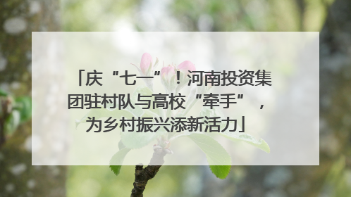 庆“七一”！河南投资集团驻村队与高校“牵手”，为乡村振兴添新活力