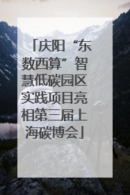 庆阳“东数西算”智慧低碳园区实践项目亮相第三届上海碳博会