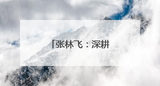 张林飞：深耕实体经济的多元产业开拓者