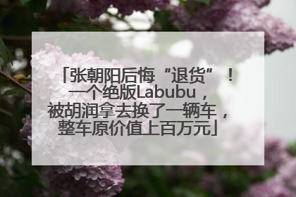 张朝阳后悔“退货”！一个绝版Labubu，被胡润拿去换了一辆车，整车原价值上百万元