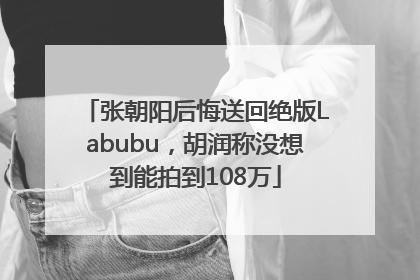 张朝阳后悔送回绝版Labubu，胡润称没想到能拍到108万