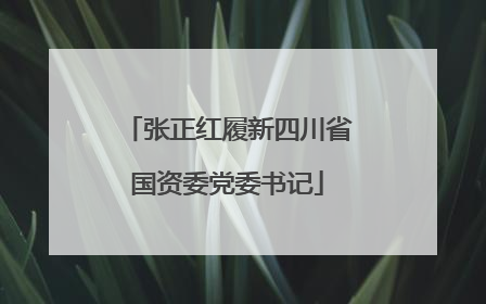 张正红履新四川省国资委党委书记
