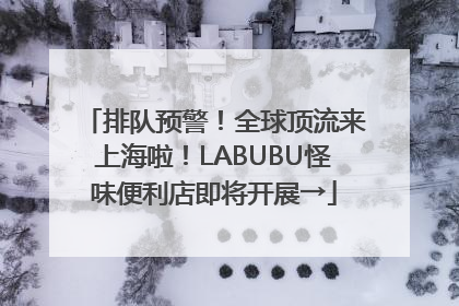 排队预警！全球顶流来上海啦！LABUBU怪味便利店即将开展→