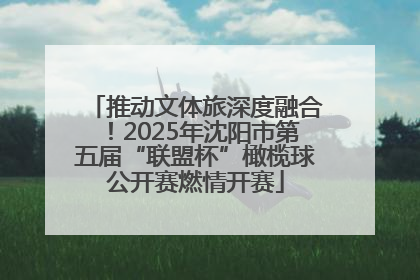 推动文体旅深度融合！2025年沈阳市第五届“联盟杯”橄榄球公开赛燃情开赛