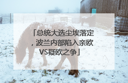 总统大选尘埃落定，波兰内部陷入亲欧VS疑欧之争