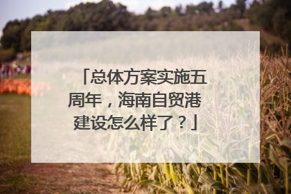 总体方案实施五周年，海南自贸港建设怎么样了？