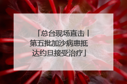 总台现场直击丨第五批加沙病患抵达约旦接受治疗