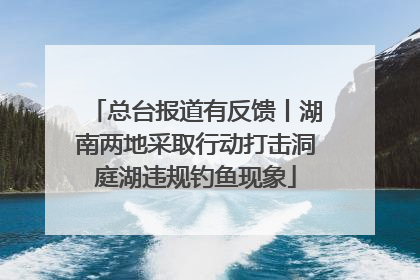 总台报道有反馈丨湖南两地采取行动打击洞庭湖违规钓鱼现象