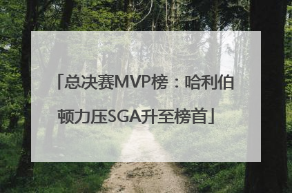 总决赛MVP榜：哈利伯顿力压SGA升至榜首