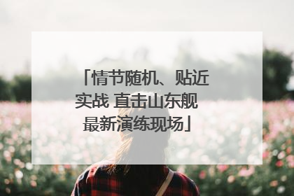 情节随机、贴近实战 直击山东舰最新演练现场