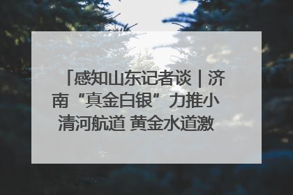 感知山东记者谈｜济南“真金白银”力推小清河航道 黄金水道激活区域经济新动能