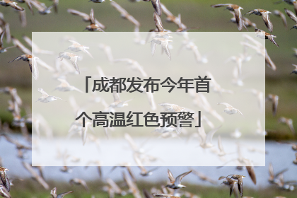 成都发布今年首个高温红色预警