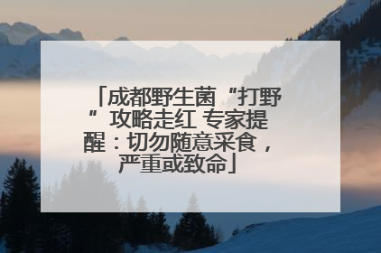 成都野生菌“打野”攻略走红 专家提醒：切勿随意采食，严重或致命