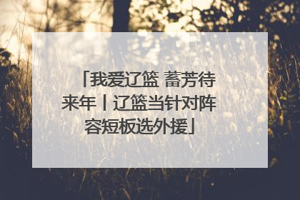 我爱辽篮 蓄芳待来年丨辽篮当针对阵容短板选外援