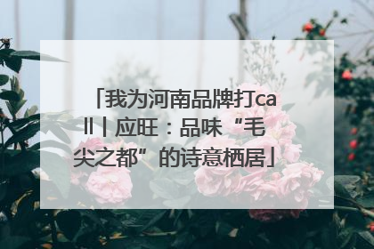 我为河南品牌打call丨应旺：品味“毛尖之都”的诗意栖居